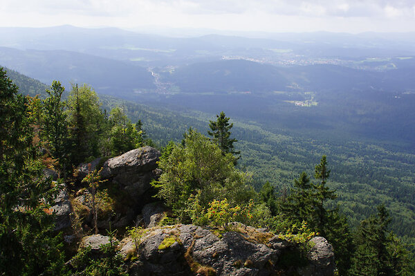 Natur Bayerischer Wald, Waldkirchen